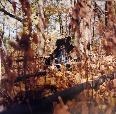 Golliwog (Gatefold)
