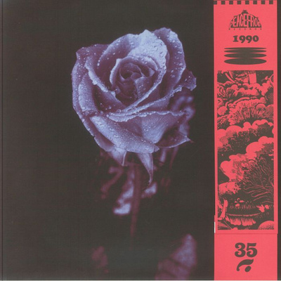 Silence In The Secret Garden (Smokey Vinyl)