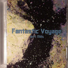 Fantastic Voyage