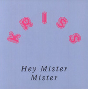Hey Mister Mister