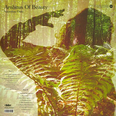 Ambitus Of Beauty