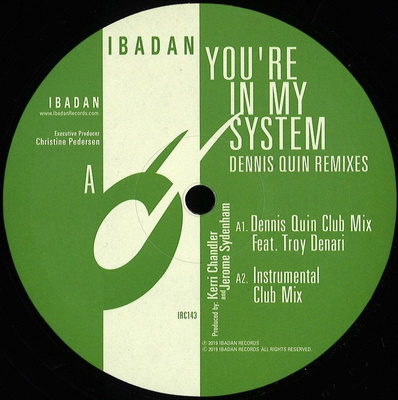 You're In My System (Dennis Quin Remixes)