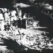 Tribal War / Sweet