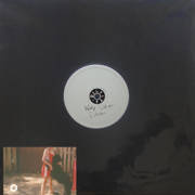 Dalmata Daniel Split - DDS06