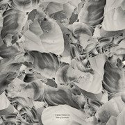 Ideas Of Aesthetics