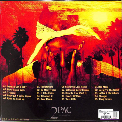 Instrumentals: Rap & Revolution