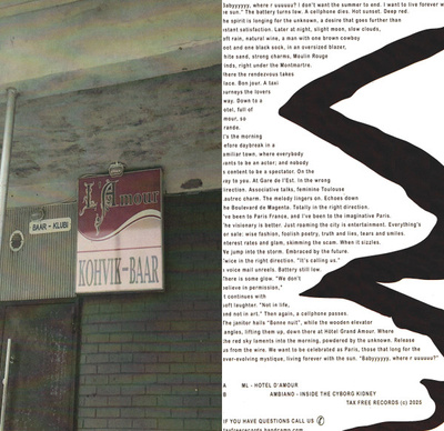 Hôtel D'Amour / Inside The Cyborg Kidney