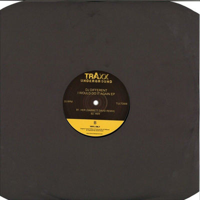 I Would Do It Again EP