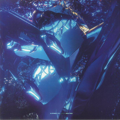 Aqua Team (Gatefold)