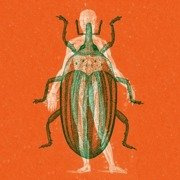Voodoo Questions