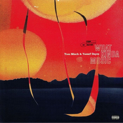 What Kinda Music (gatefold) 180g Limited Edition