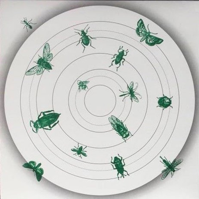 Insect-Talk