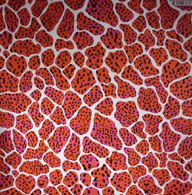 Animals Have Feelings