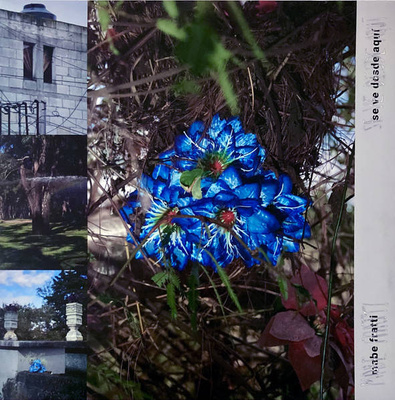 Se Ve Desde Aqui (Gatefold) Blue Marbled Vinyl