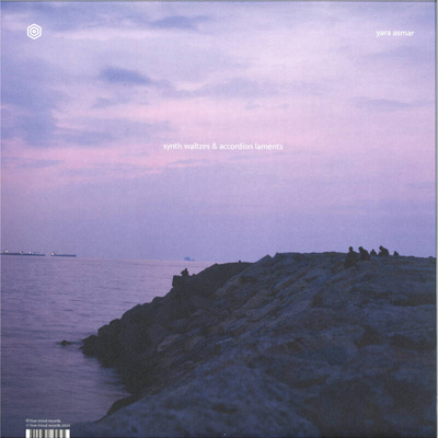 Home Recordings 2018 - 2021 / Synth Waltzes & Accordion Laments (Gatefold)