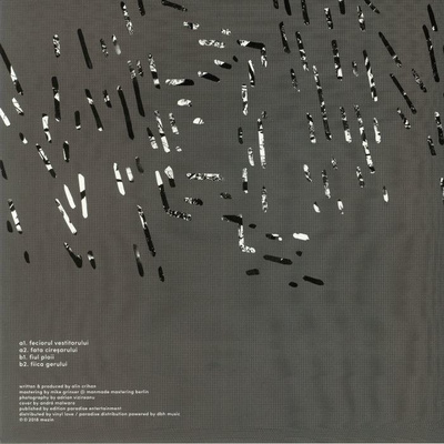 Mesagerii EP (180g)