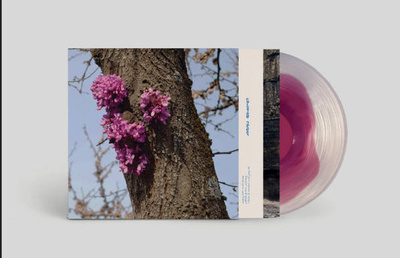 Meeting With A Judas Tree (180g) Transparent Purple Clear Vinyl