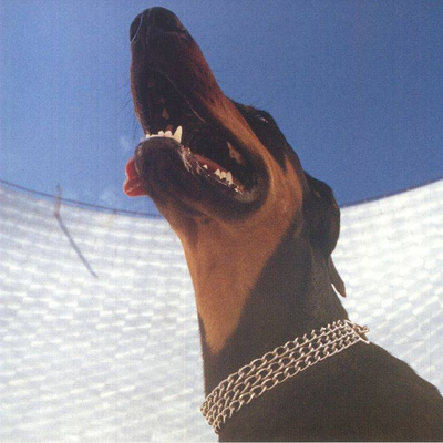 Good Lies (Clear Vinyl)