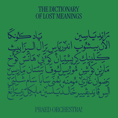 The Dictionary Of Lost Meanings (Gatefold)