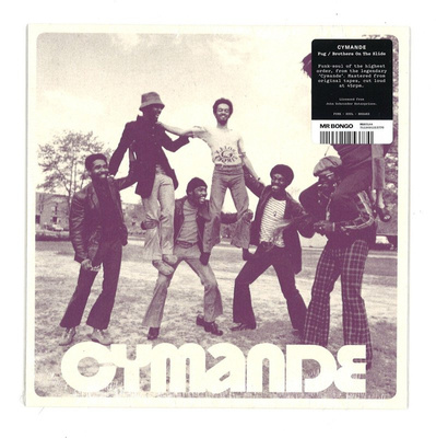 Fug / Brothers On The Slide