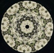 Nanel 002