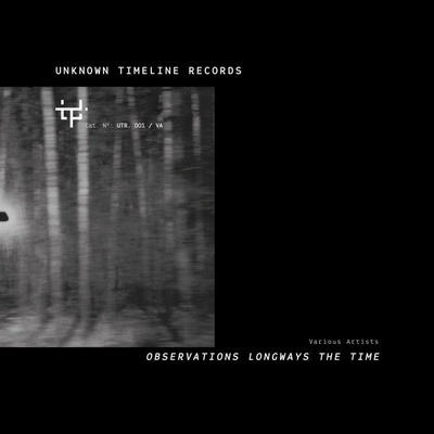 Various Artists: Observations Longways The Time 