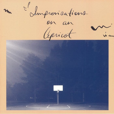 Improvisations On An Apricot