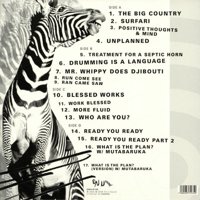 Vision Of A Psychedelic Africa (Expanded Edition)