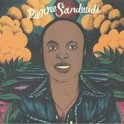 Le Troubadour De La Savane 1976-1980