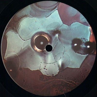 Rottie Bites EP