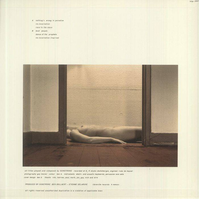 Nothing's Wrong In Paradise