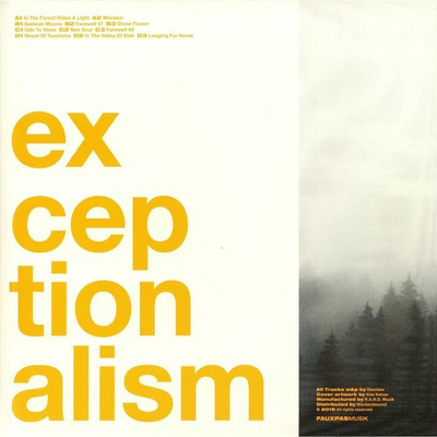 Exceptionalism (180g)