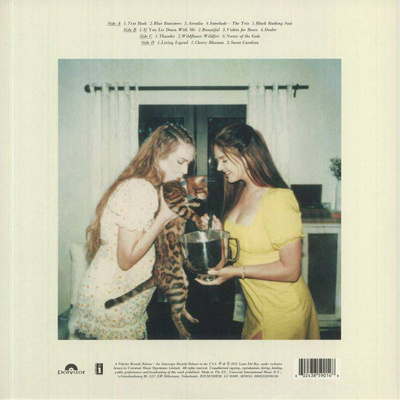 Blue Banisters (Gatefold)