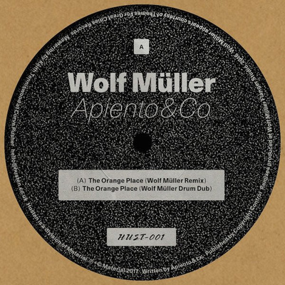The Orange Place (Wolf Muller Remixes)