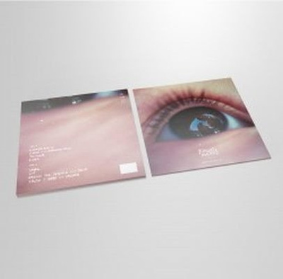Experience (180g)