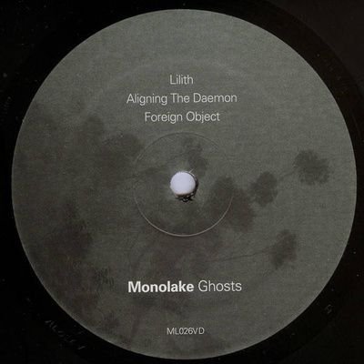 Ghosts (Gatefold)