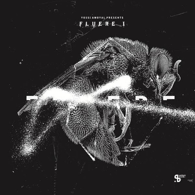 Yossi Amoyal Presents Fluere I
