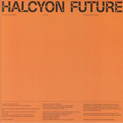 Halcyon Future