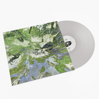 Strange Meridians (180g) Silver-Colored BioVinyl
