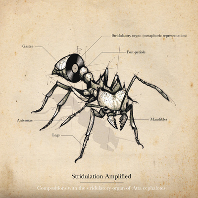 Stridulation Amplified: Compositions With The Stridulatory Organ Of Atta Cephalotes