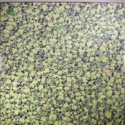 River People (coloured vinyl)