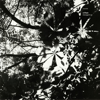 Mesagerii EP (180g)