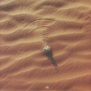 White Stallion / Abyadh Aswad