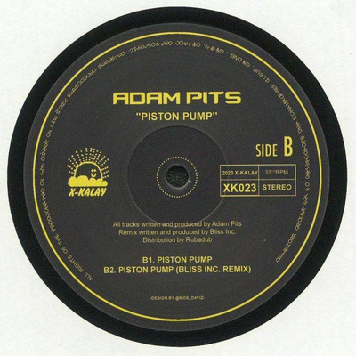 Piston Pump