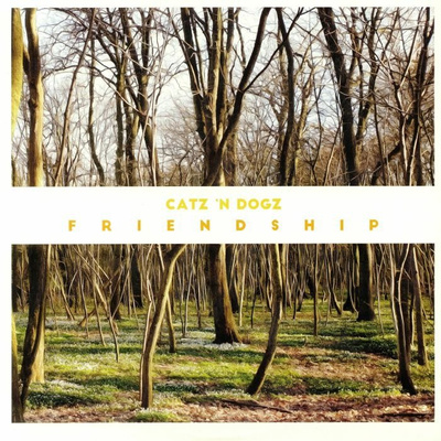 Friendship (gatefold)