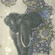 Spiritual Safari