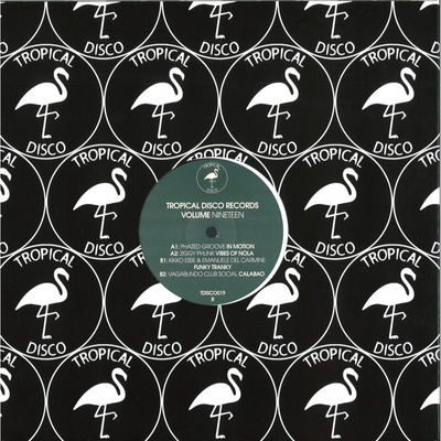 Tropical Disco Edits Vol. 19 (180g)