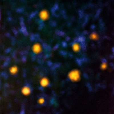 Daemmerlicht (180g) gatefold