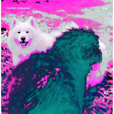 Canine Carnival