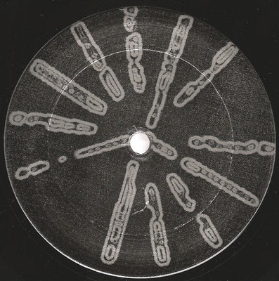Phylyps Trak II